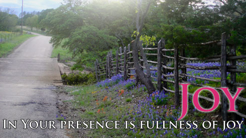 Joy - In Your Presence is Fullness of Joy